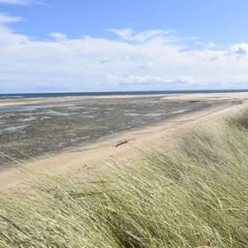 Sand dunes of Coul Links by Bea Ayling