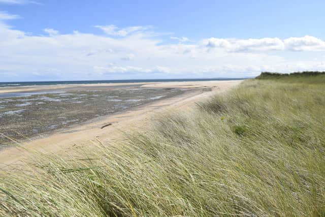 Sand dunes of Coul Links by Bea Ayling