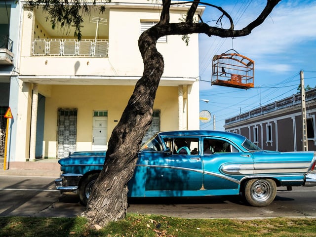 Wildlife Photographer of the Year is developed and produced by the Natural History Museum, London. The Cuban connection by Karine Aigner, overall winner and winner of the Photojournalist Story Award category at the Wildlife Photographer of the Year competition.