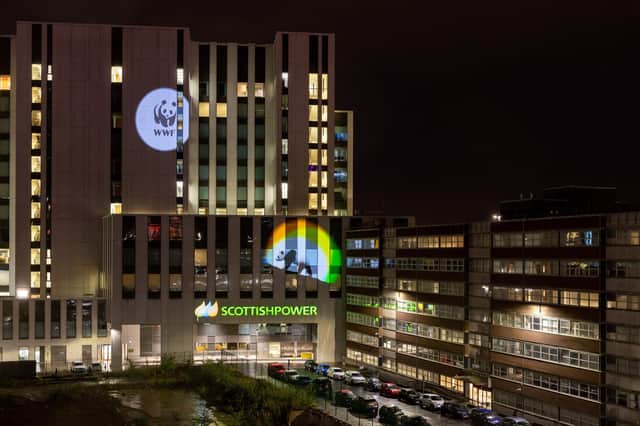 WWF Panda being projected onto ScottishPower's Glasgow headquarters as WWF and ScottishPower are announcing a partnership to help accelerate the UK's transition to net zero (Photo: Ian Georgeson/ScottishPower/PA Wire).