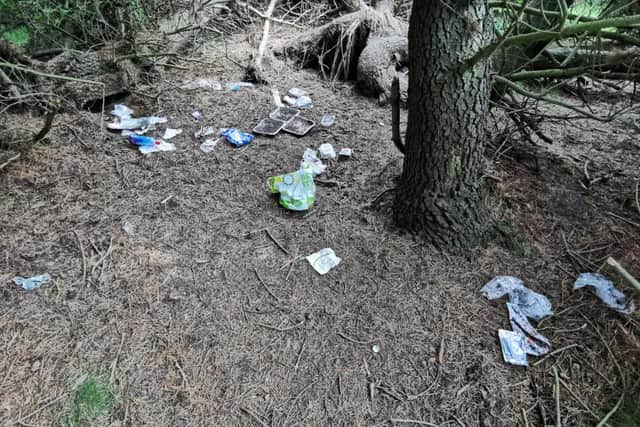 Disposable barbecues were left behind in a nearby area of woodland. Pic: Friends of the Pentlands