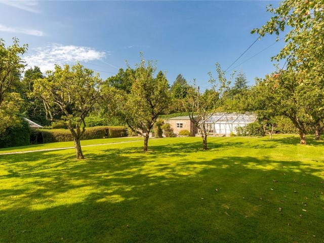 Rear garden.