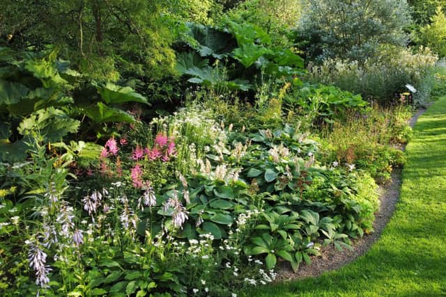 The creation of this Rain Garden mitigates the impact of extreme weather (Pic: RBGE)