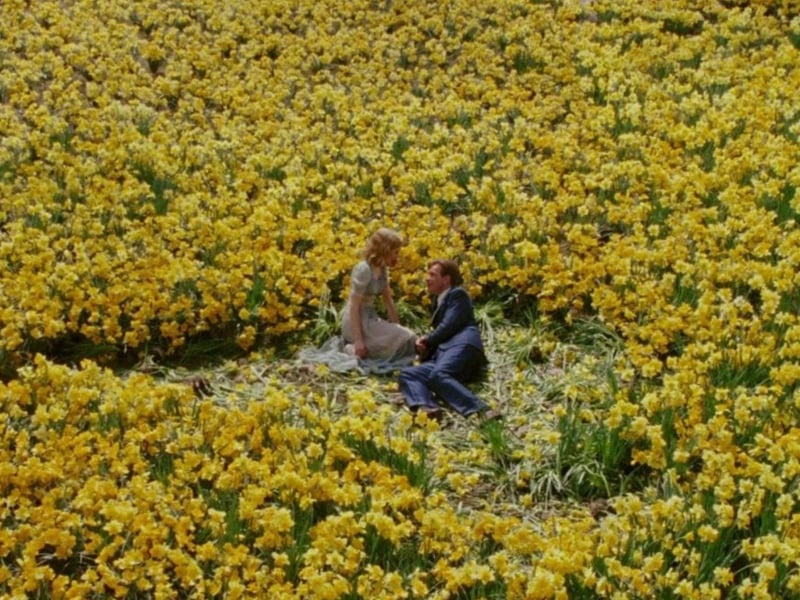 This fairytale captures the story of Ed and his son Will. Will's father is a storyteller who is well-known for his tales but Will doesn't find him grounded in reality. However, after Ed becomes sick, Will takes care of him and listens to him tell the story of his life which Ewan McGregor captures as he plays the young Ed.