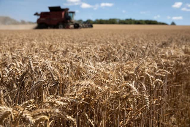 Grain prices have hit record levels recently