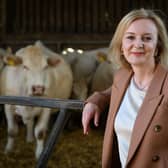 Foreign secretary and Conservative leadership candidate Liz Truss during her visit to Twelve Oaks Farm in Newton Abbot, England. Picture: Finnbarr Webster/Getty Images