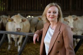 Foreign secretary and Conservative leadership candidate Liz Truss during her visit to Twelve Oaks Farm in Newton Abbot, England. Picture: Finnbarr Webster/Getty Images