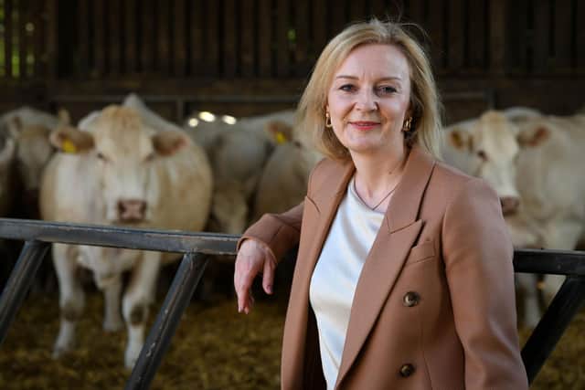 Foreign secretary and Conservative leadership candidate Liz Truss during her visit to Twelve Oaks Farm in Newton Abbot, England. Picture: Finnbarr Webster/Getty Images