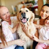 Some dogs are only too happy to have their human family all to themselves.