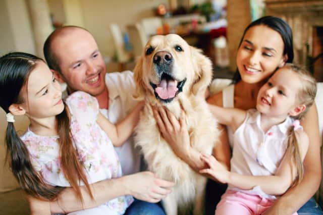Some dogs are only too happy to have their human family all to themselves.