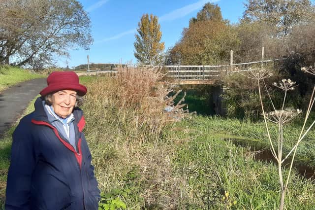 Woodhall, Faskine and Palacecraig Conservation Group trustee Ann Glen described Maggie's fight to save the bridge in the 1850s as "an early example of female empowerment”. Picture: The Scotsman