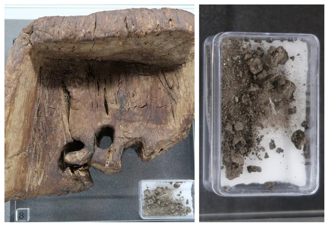 The 2,500-year-old butter dish and the remains of the butter. PIC: Scottish Crannog Centre.