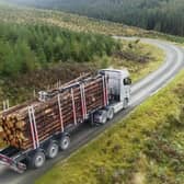 The projects promise to create new haulage routes away from busy villages, build passing places on narrow roads, upgrade existing fragile highways and promote the shipping of timber by sea. Picture: Creel Maritime Ltd