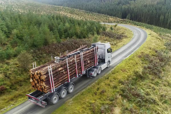 The projects promise to create new haulage routes away from busy villages, build passing places on narrow roads, upgrade existing fragile highways and promote the shipping of timber by sea. Picture: Creel Maritime Ltd