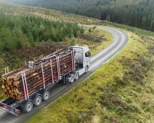 The projects promise to create new haulage routes away from busy villages, build passing places on narrow roads, upgrade existing fragile highways and promote the shipping of timber by sea. Picture: Creel Maritime Ltd