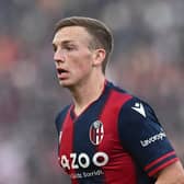 Scotland midfielder Lewis Ferguson has impressed in Serie A with Bologna. (Photo by Alessandro Sabattini/Getty Images)