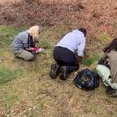 University students worked with council staff to remove the plant.