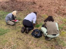 University students worked with council staff to remove the plant.