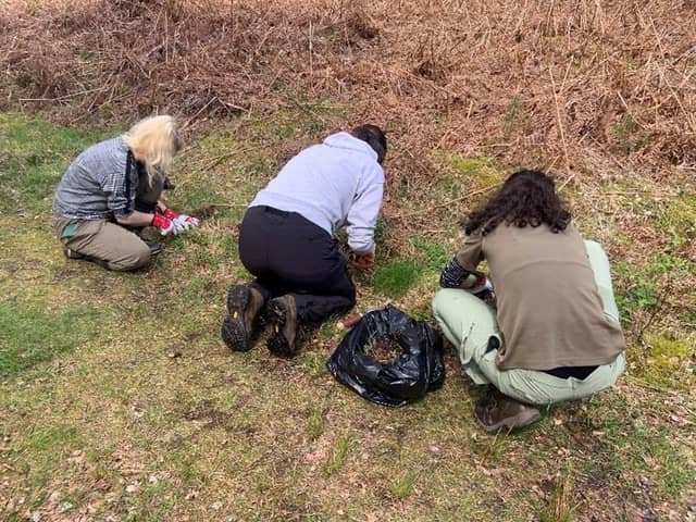University students worked with council staff to remove the plant.
