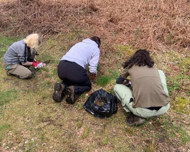 University students worked with council staff to remove the plant.