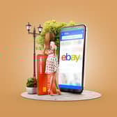 Be sure to know exactly what you're buying when using online auction sites (Picture: Adobe)