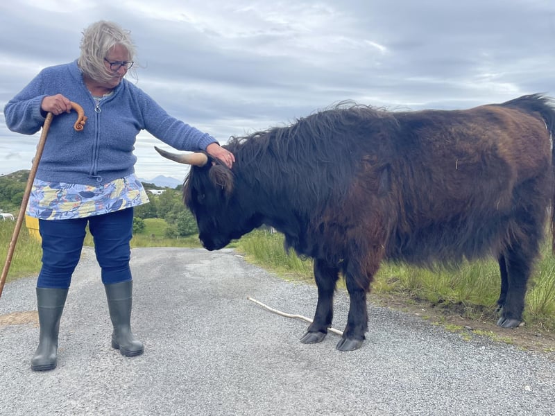 Crofter Morag Mackenzie has a catch-up with Ava