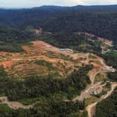 China's State Development and Investment Corporation -- parent company of Edinburgh-headquartered renewables firm Red Rock Power, which owns offshore and onshore wind farms across Scotland -- is constructing the Batang Toru dam in Sumatra, Indonesia, which campaigners fear could wipe out the rare orangutans living in the regions forests