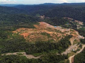 China's State Development and Investment Corporation -- parent company of Edinburgh-headquartered renewables firm Red Rock Power, which owns offshore and onshore wind farms across Scotland -- is constructing the Batang Toru dam in Sumatra, Indonesia, which campaigners fear could wipe out the rare orangutans living in the regions forests
