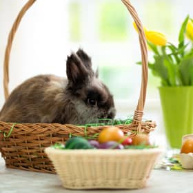 When is Easter 2022? Dates of Easter Sunday, bank holiday and lent this year - and why Easter is so late in 2022 (Image credit: Getty Images via Canva Pro)