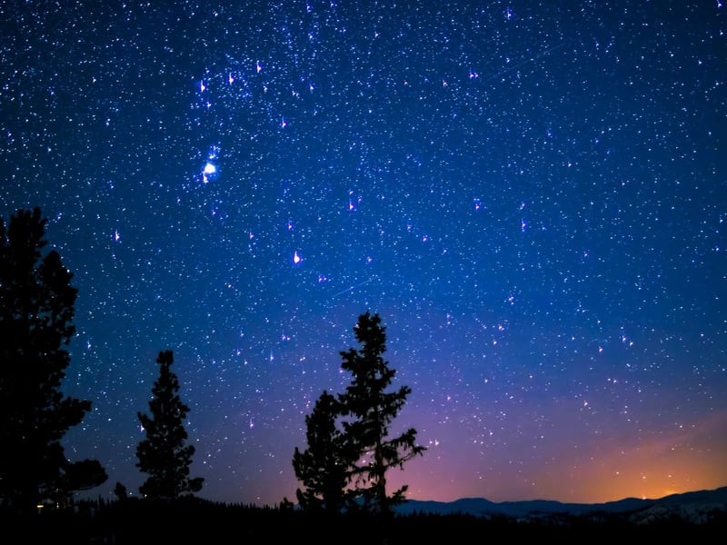Have you ever seen the Scottish sky on a dark and clear Winter night? Then you've caught the spectacular sterrm which refers to stars.