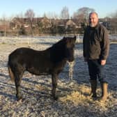 Steve McMinn with Eriskay foal Correen