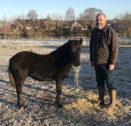 Steve McMinn with Eriskay foal Correen