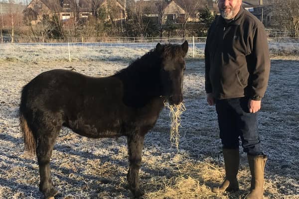 Steve McMinn with Eriskay foal Correen