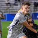 Georgetown's Dante Polvara, left, works past Washington's Gio Miglietti during the second half of an NCAA men's soccer tournament semi-final in Cary, N.C
NCAA Georgetown Washington Soccer, Cary, United States - 10 Dec 2021. Photo by Ben McKeown/AP/Shutterstock (12640370j)