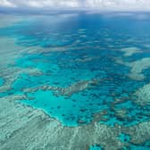 The Great Barrier Reef Marine Park Authority, Hook Reef, in the Whitsunday region