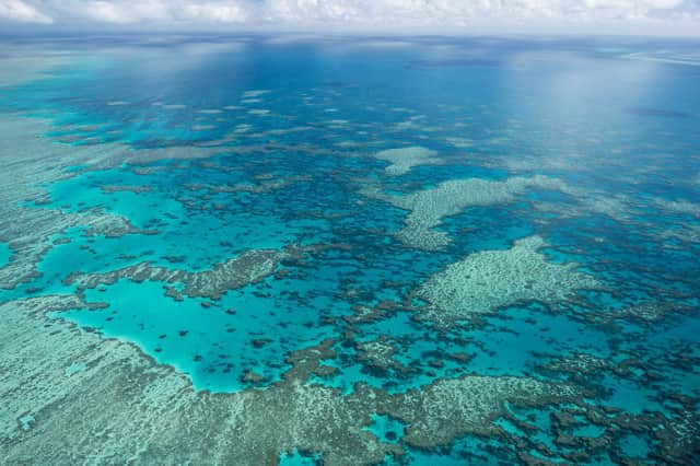 The Great Barrier Reef Marine Park Authority, Hook Reef, in the Whitsunday region