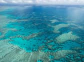 The Great Barrier Reef Marine Park Authority, Hook Reef, in the Whitsunday region