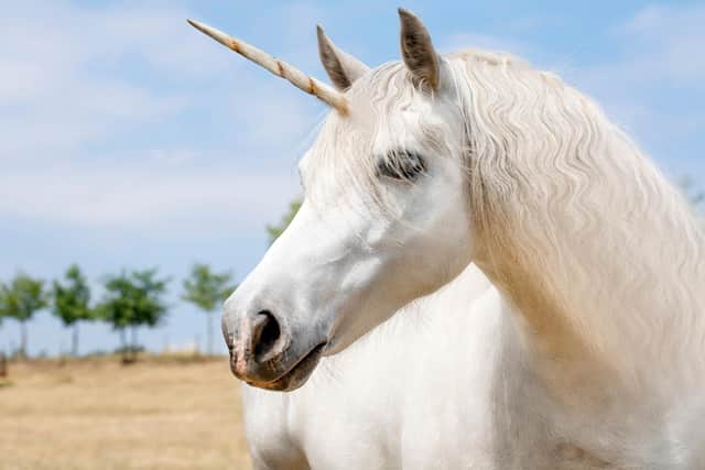 Europe produced more tech unicorns last year than ever before