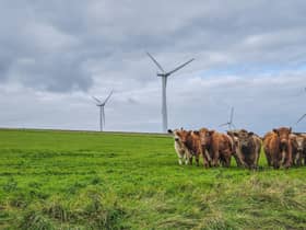 Don't miss the  latest edition of The Scotsman’s Deals podcast, focusing on energy