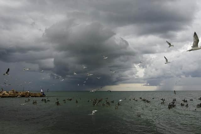 Sea birds take flight near a fishing pier as storm clouds. (Pic credit: Win McNamee / Getty Images)