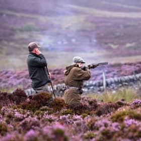 The management of grouse shooting estates must change because of climate change (Picture: Jeff J Mitchell/Getty Images)