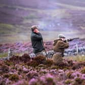 The management of grouse shooting estates must change because of climate change (Picture: Jeff J Mitchell/Getty Images)