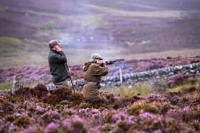 The management of grouse shooting estates must change because of climate change (Picture: Jeff J Mitchell/Getty Images)