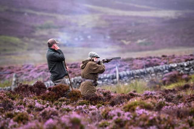 The management of grouse shooting estates must change because of climate change (Picture: Jeff J Mitchell/Getty Images)
