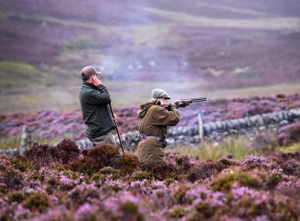 The management of grouse shooting estates must change because of climate change (Picture: Jeff J Mitchell/Getty Images)