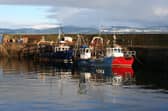 The poll has shown strong support for UK control of fishing waters. Picture: Getty Images
