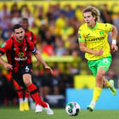 Rangers are closing in on the signing of Norwich midfielder Todd Cantwell. (Photo by Marc Atkins/Getty Images)