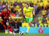 Rangers are closing in on the signing of Norwich midfielder Todd Cantwell. (Photo by Marc Atkins/Getty Images)