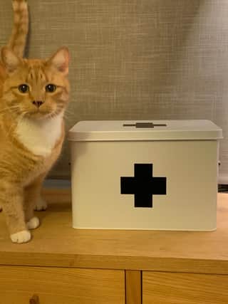 Every home needs a medicine box. Cat optional.
