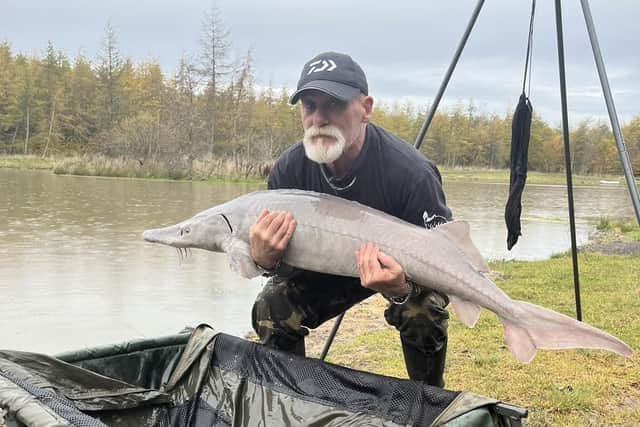 George Howie with Maisie the sturgeon who tipped the scales at over 38lbs when she was introduced to the water. Picture Chanelle Maver